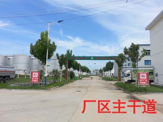 廠(chǎng)區主干道.jpg